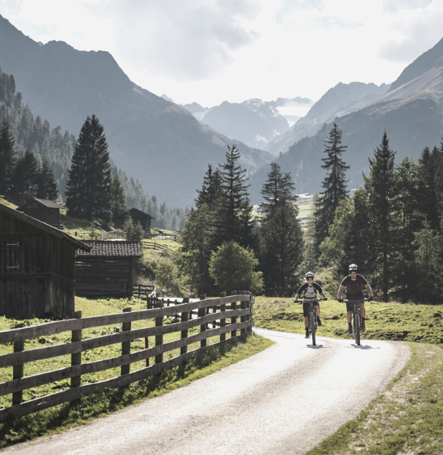 Biken im Stubaital-Ferienwohnung mit Alpakas